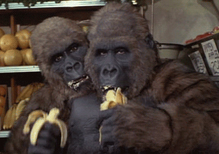 大猩猩吃香蕉gif图片
