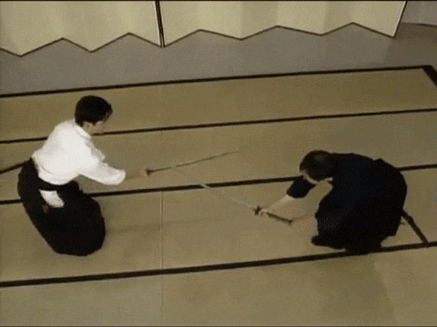 日本剑术动态图片