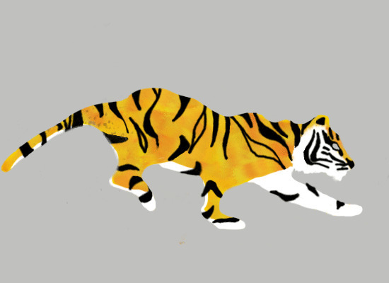 老虎奔跑动画图片