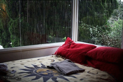 窗外的大雨gif图片