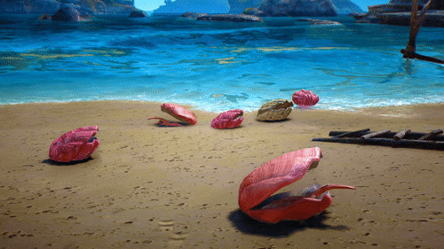 沙滩美丽海贝动画图片