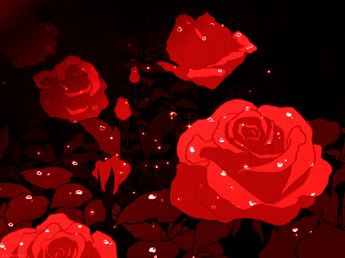 红玫瑰GIF[28图]