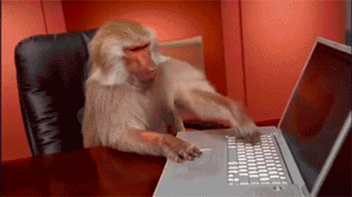 搞笑猴子玩电脑动态图片