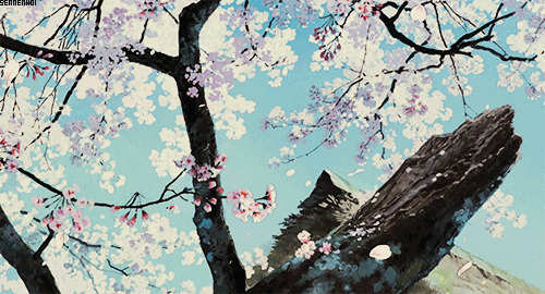 樱花飘落的美景动画图片素材