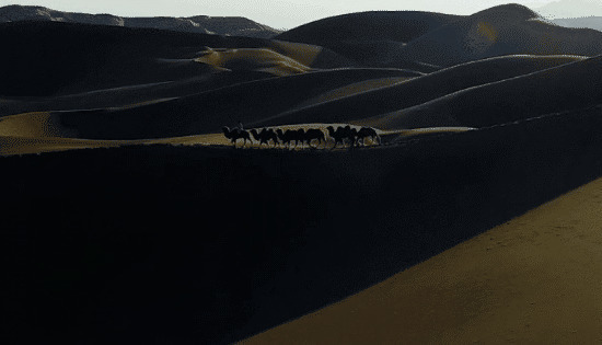 骆驼商队过沙漠GIF图片