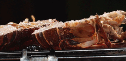 碳烤皮皮虾GIF图片