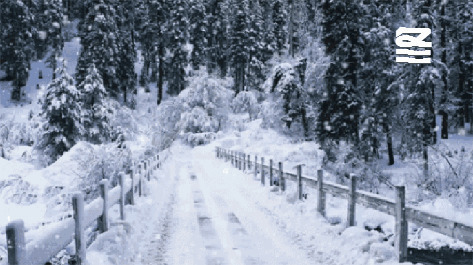 大雪纷飞的季节GIF图片