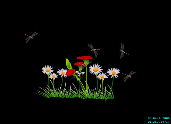 蜻蜓飞来花丛中动画图片