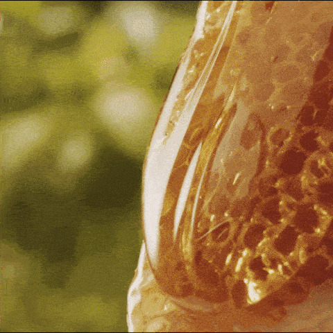 流淌的蜂蜜GIF图片