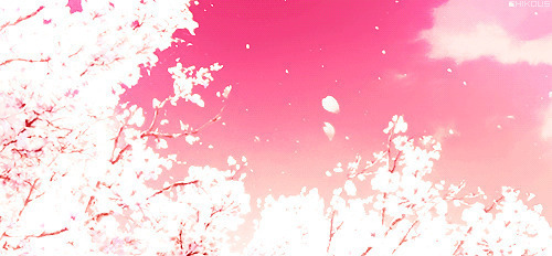 被风吹落的樱花GIF图片