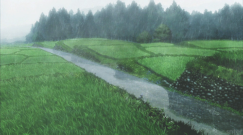 雨下的田野GIF图片