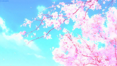 樱花树上飘落的花瓣动画图片