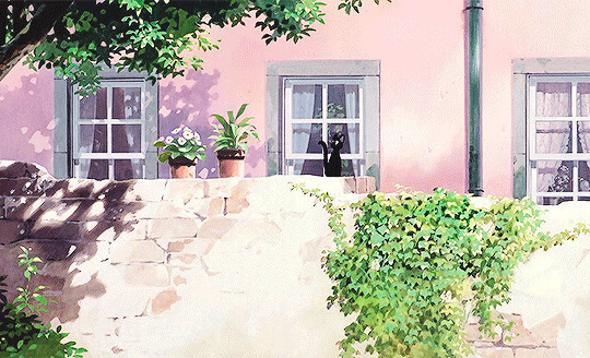围墙上的小黑猫动画图片