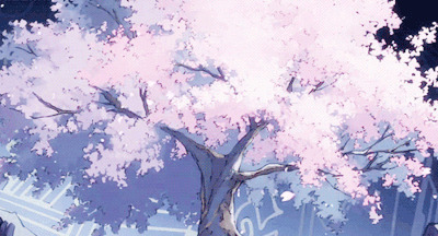 唯美樱花树飘落的花瓣动画图片