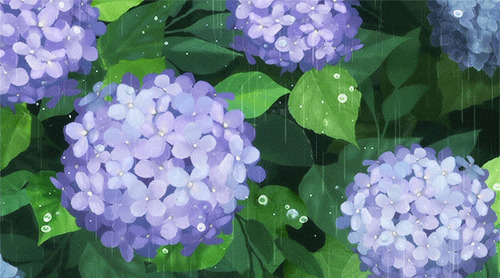 雨中的花朵动画图片