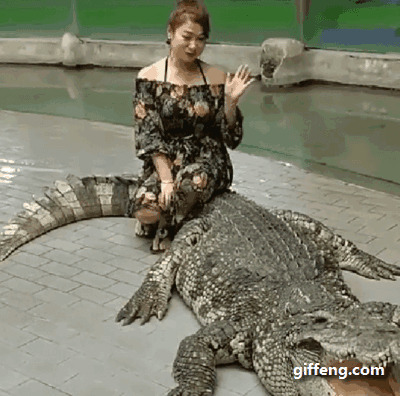 穿裙子的胖女神坐在鳄鱼的背上gif图片