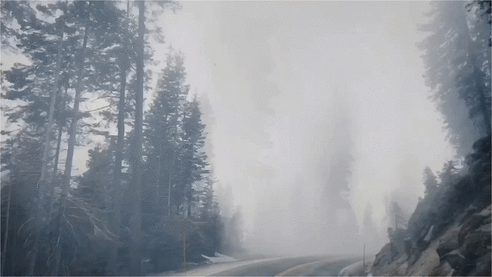 行车在雾茫茫的山林GIF图片