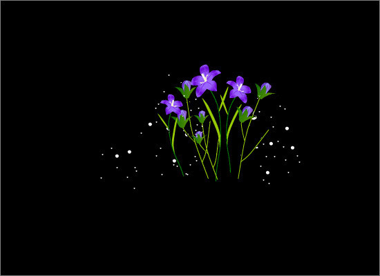 开满紫色的花GIF素材图片