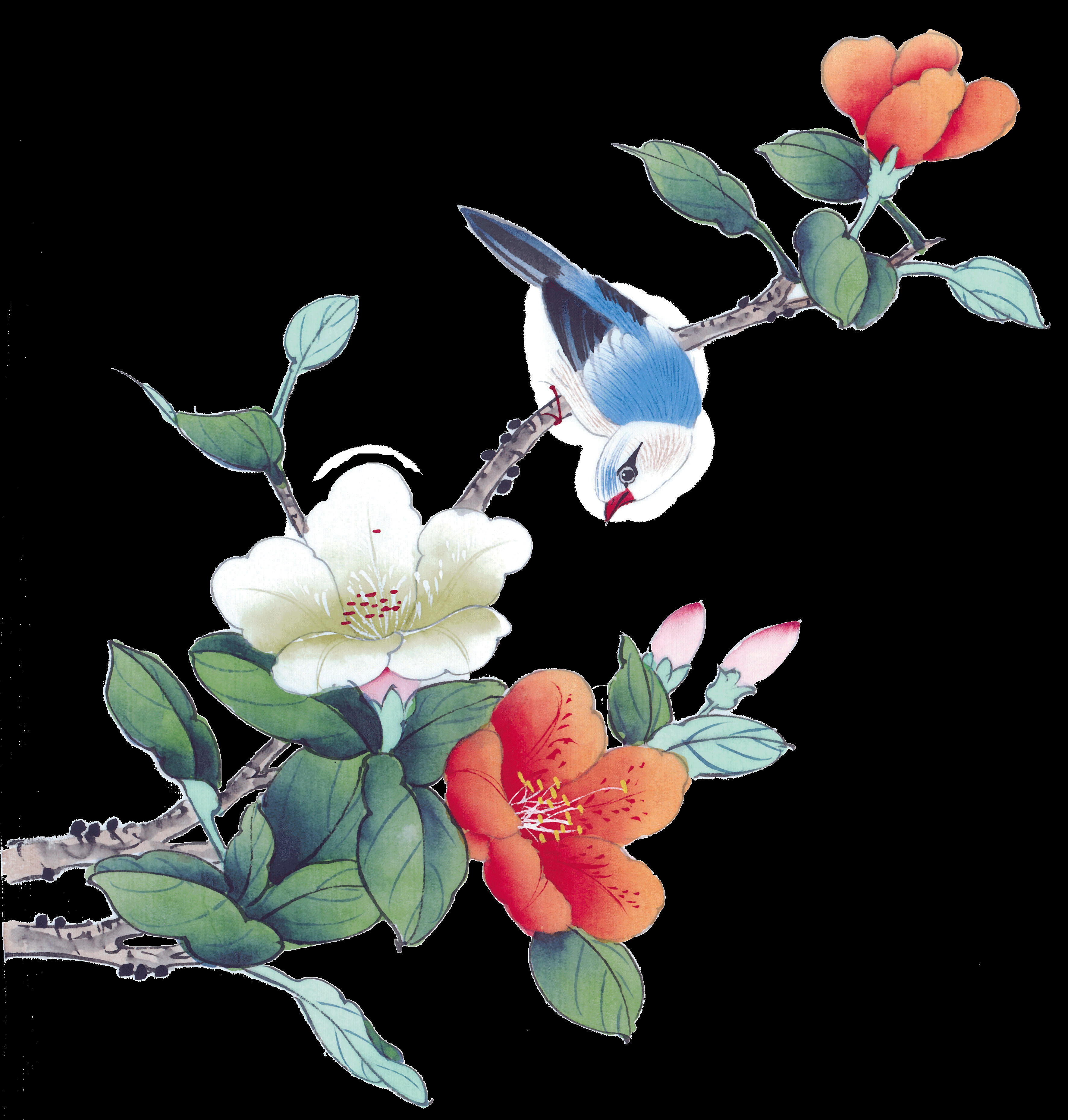 牡丹花上的翠鸟GIf素材图片