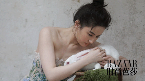 可爱的美女抱着一只白色的小兔子gif图片