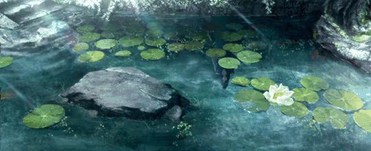一只卡通小乌龟跳进池塘里游泳gif图片