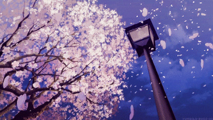 路灯下的桃花花瓣漫天飞舞gif图片