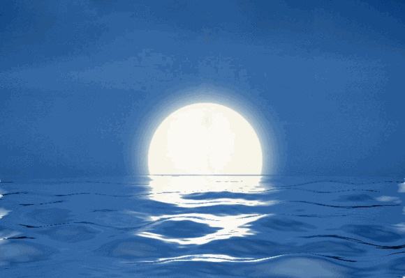 海上升明月动态图