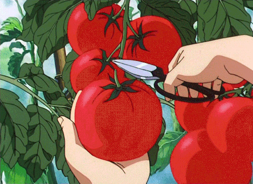 美味的西红柿红红的看着很有食欲gif图片