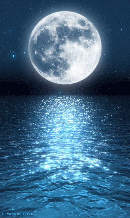 海上明月唯美的动态图片